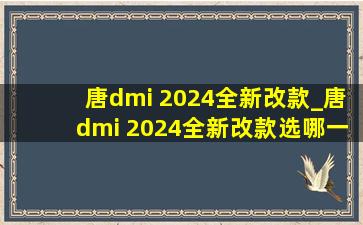 唐dmi 2024全新改款_唐dmi 2024全新改款选哪一款好